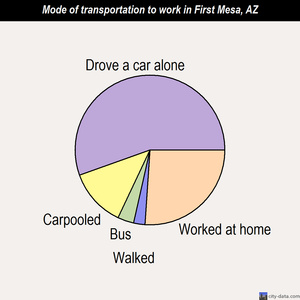 First Mesa mode of transportation to work chart