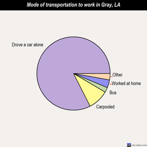 Gray mode of transportation to work chart