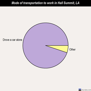 Hall Summit mode of transportation to work chart