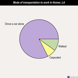 Homer mode of transportation to work chart