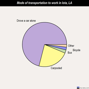Iota mode of transportation to work chart
