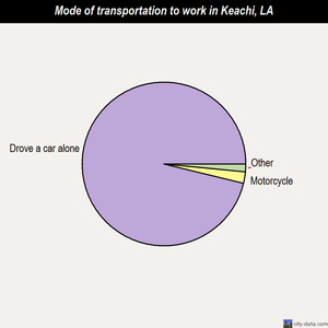Keachi mode of transportation to work chart