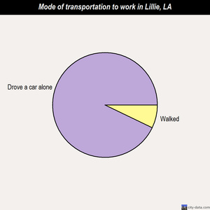 Lillie mode of transportation to work chart
