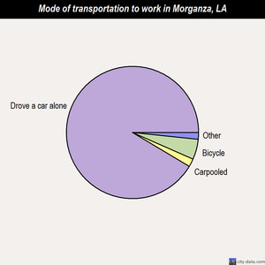 Morganza mode of transportation to work chart
