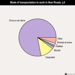 New Roads mode of transportation to work chart