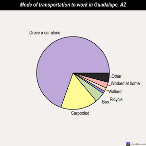Guadalupe mode of transportation to work chart