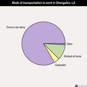 Shongaloo mode of transportation to work chart
