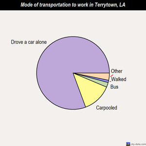 Terrytown mode of transportation to work chart