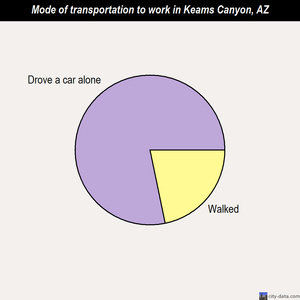 Keams Canyon mode of transportation to work chart