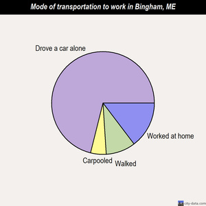 Bingham mode of transportation to work chart