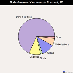 Brunswick mode of transportation to work chart