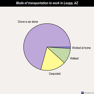 Leupp mode of transportation to work chart