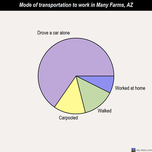 Many Farms mode of transportation to work chart