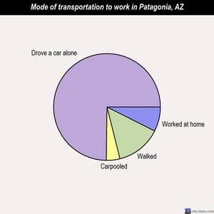 Patagonia mode of transportation to work chart