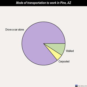 Pine mode of transportation to work chart