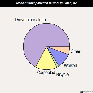 Pinon mode of transportation to work chart