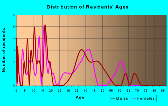 Age and Sex of Residents in Indian Village in Grand Junction, CO