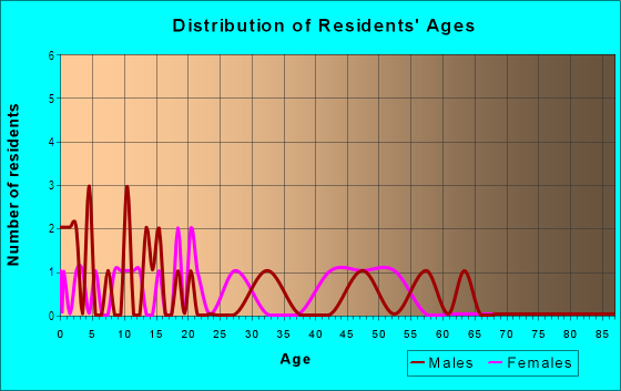 Age and Sex of Residents in Central Village in Grand Junction, CO
