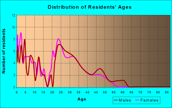 Age and Sex of Residents in High Point Village in Denver, CO