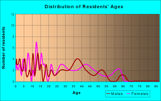 Age and Sex of Residents in High View Terrace in Brandon, FL