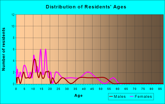 Age and Sex of Residents in King's Village in Plant City, FL
