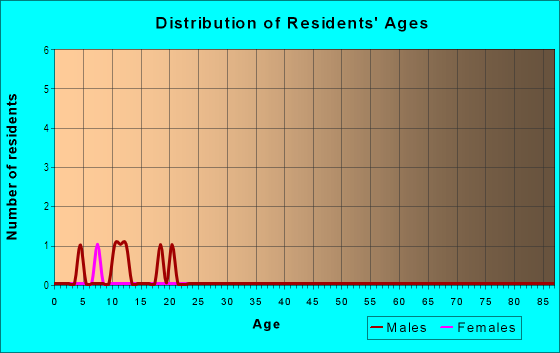 Age and Sex of Residents in Bel Hazzan in Tampa, FL