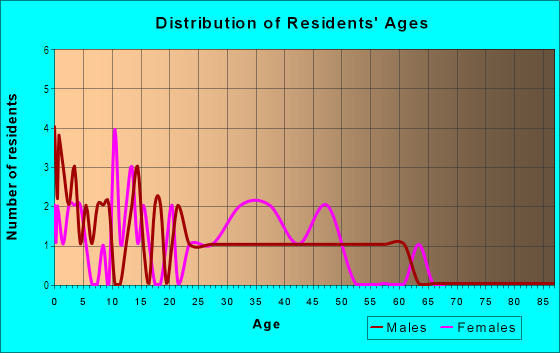 Age and Sex of Residents in East North Tampa in Lutz, FL