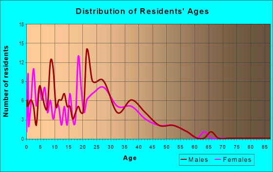 Age and Sex of Residents in Palmera Pointe in Tampa, FL