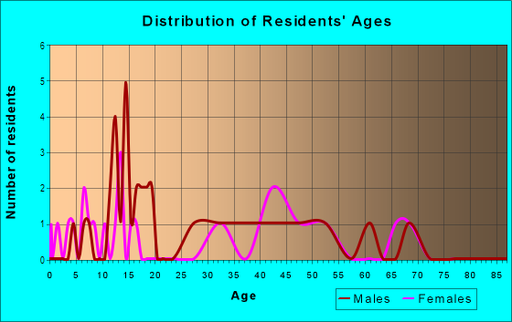 Age and Sex of Residents in Stemper Terrace in Lutz, FL