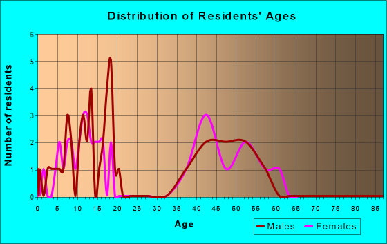Age and Sex of Residents in The Paddocks at Van Dyke Farms in Odessa, FL