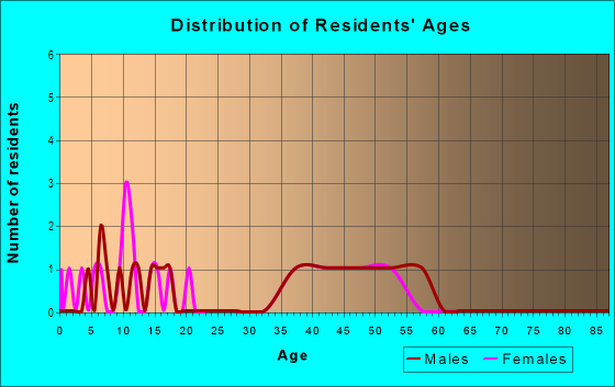 Age and Sex of Residents in The Village South in Tampa, FL