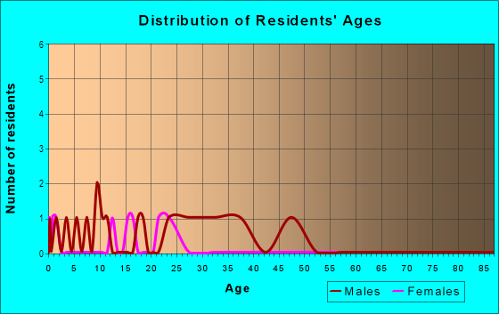 Age and Sex of Residents in Hamner's W E Skipper Road Heights in Lutz, FL