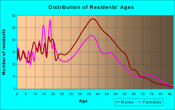 Age and Sex of Residents in Springfield Historical District in Jacksonville, FL