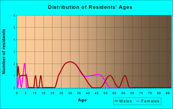 Age and Sex of Residents in Palm Bay in Tampa, FL