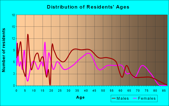 Age and Sex of Residents in Hamner's Wonderland Acres in Lutz, FL