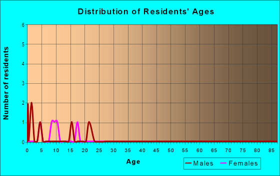 Age and Sex of Residents in Bay Area Outlet Mall in Clearwater, FL