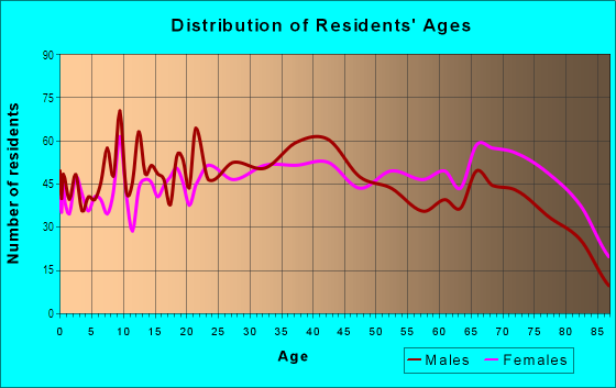 Age and Sex of Residents in Northeast Macfarlane in Tampa, FL