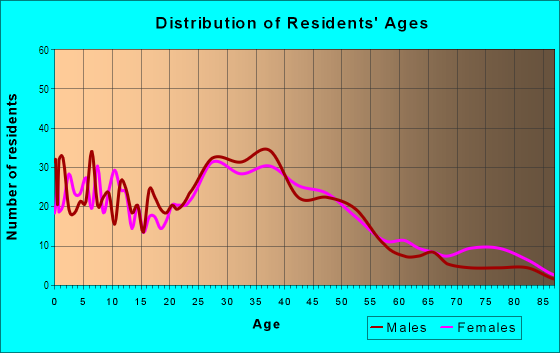 Age and Sex of Residents in South Seminole Heights in Tampa, FL