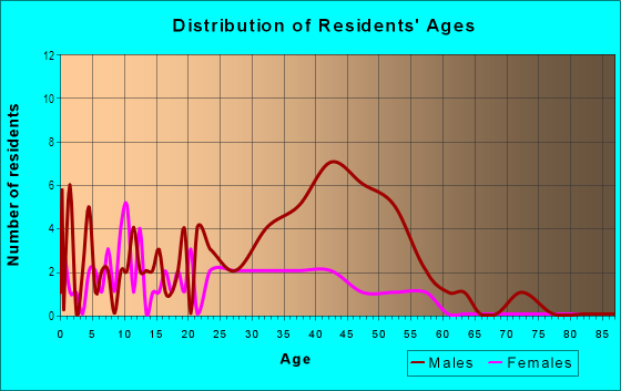 Age and Sex of Residents in Grand Central District in Saint Petersburg, FL