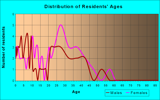 Age and Sex of Residents in Village Townhomes in Orlando, FL