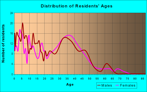 Age and Sex of Residents in Boggy Creek in Orlando, FL