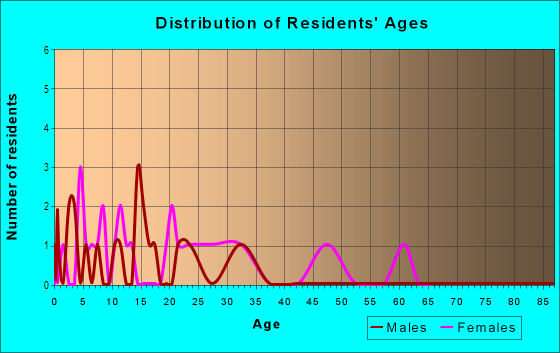 Age and Sex of Residents in Hinson Avenue in Haines City, FL