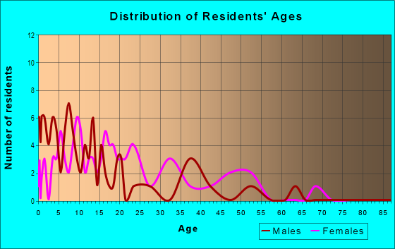 Age and Sex of Residents in Sunset Terrace in Lakeland, FL