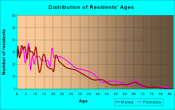 Age and Sex of Residents in Modello in Homestead, FL