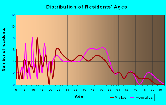 Age and Sex of Residents in Floral Village in Saint Petersburg, FL