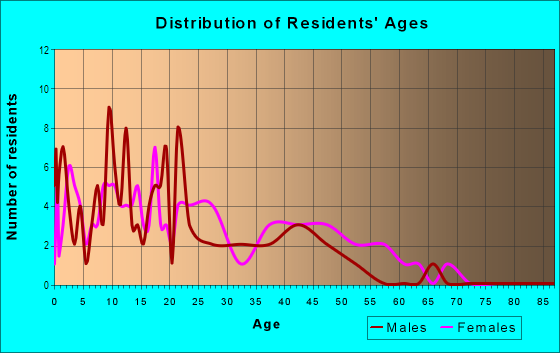 Age and Sex of Residents in Oakview Estates in Plant City, FL