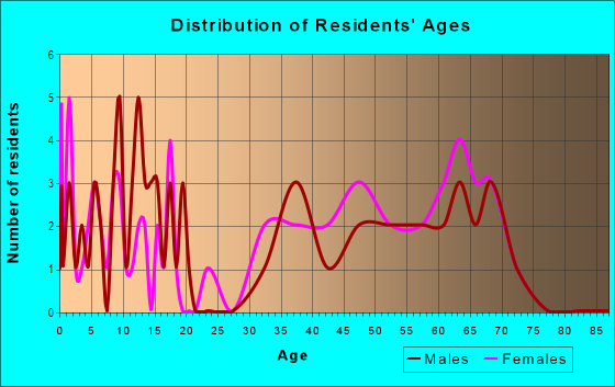 Age and Sex of Residents in Village Mill in Atlanta, GA