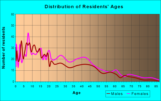 Age and Sex of Residents in Peoplestown in Atlanta, GA
