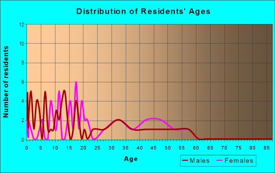 Age and Sex of Residents in North Washington Place in Des Moines, IA