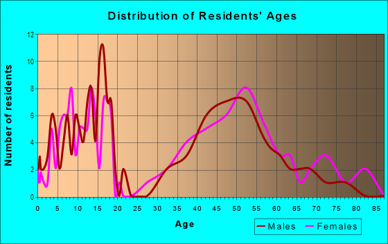 Age and Sex of Residents in Washington Park in Iowa City, IA
